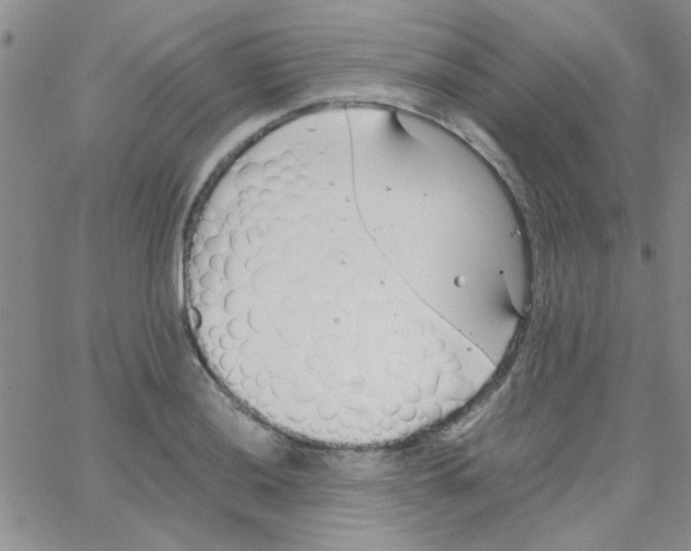 X0000064731036200603131248