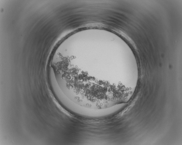 X0000064731037200603131248