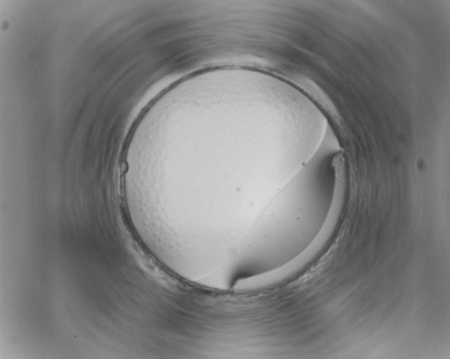 X0000064731044200603131248