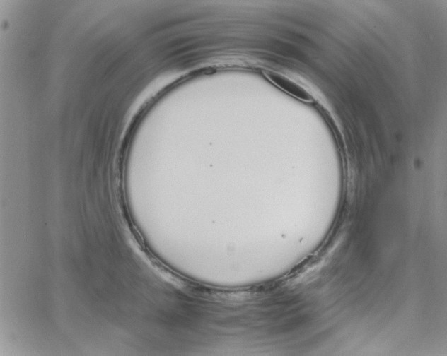 X0000064731045200603131248