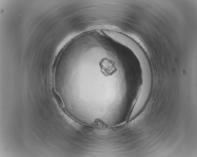 X0000064731046200603131248