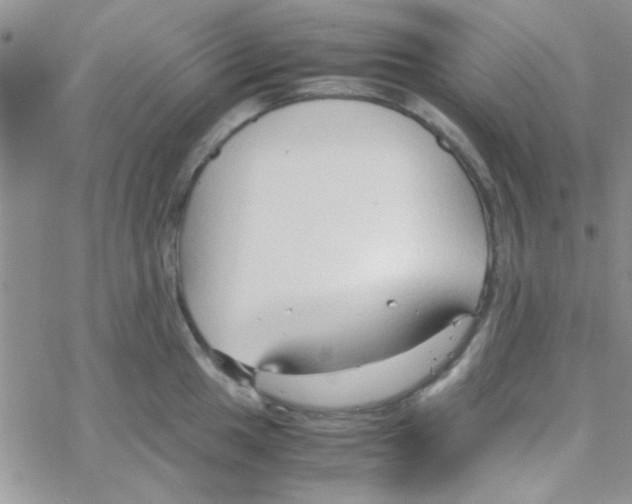 X0000064731049200603131248