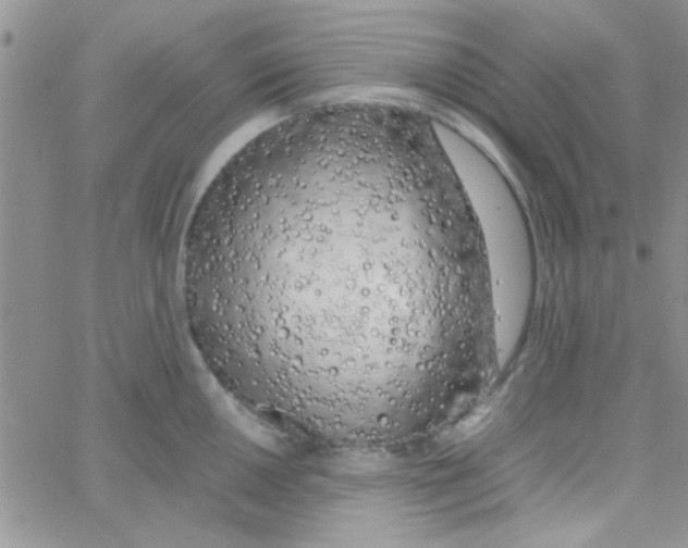 X0000064731050200603131248