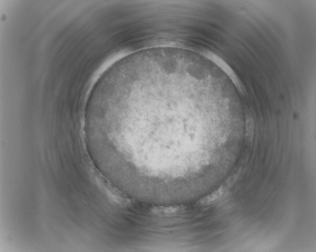 X0000064731051200603131248