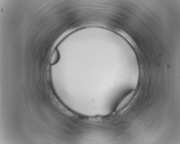 X0000064731052200603131248