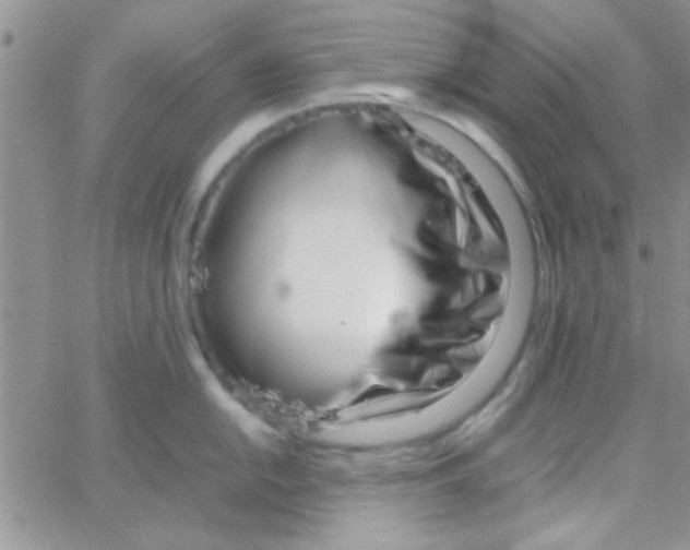 X0000064731054200603131248