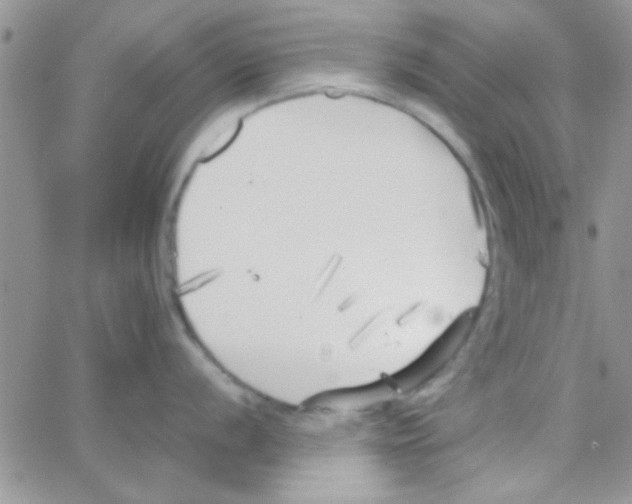 X0000064731056200603131248