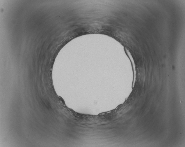 X0000064731057200603131248