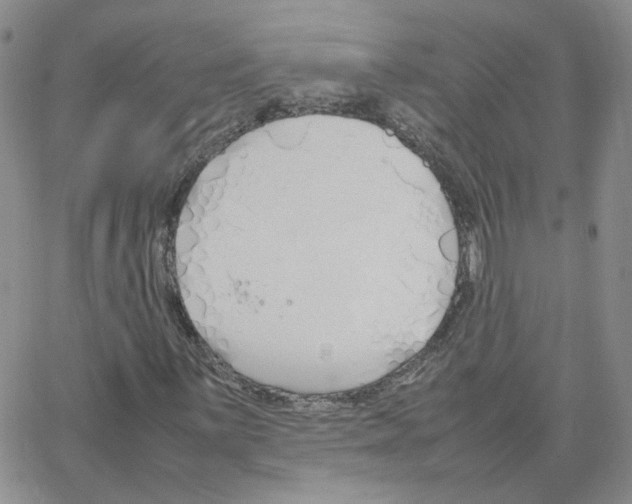 X0000064731059200603131247