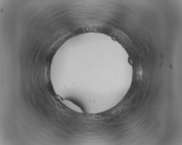 X0000064731060200603131247