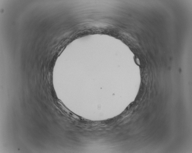 X0000064731061200603131247