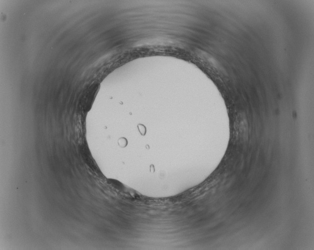 X0000064731062200603131247