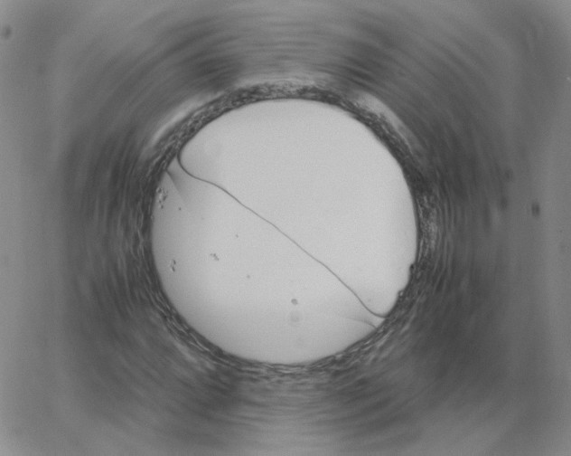 X0000064731064200603131247