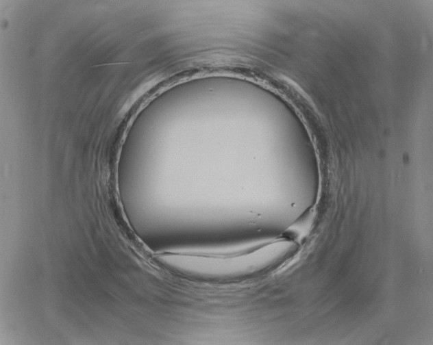 X0000064731065200603131247