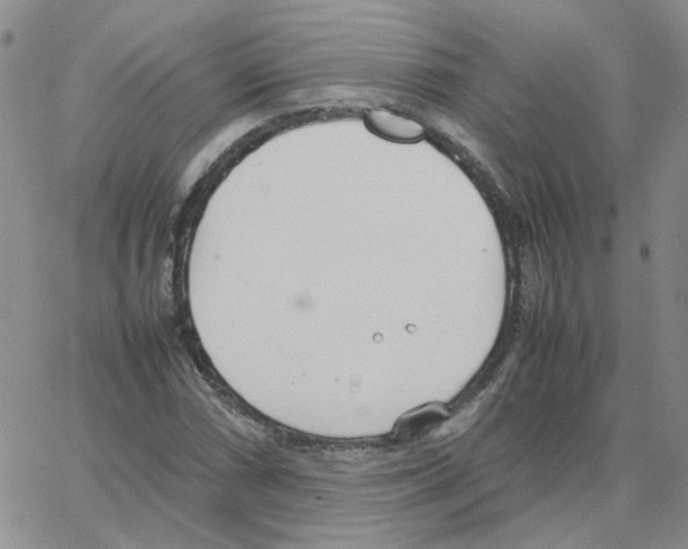 X0000064731066200603131247