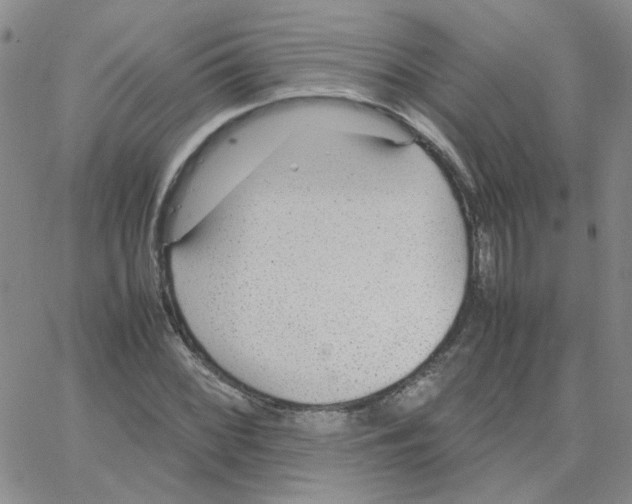 X0000064731068200603131247