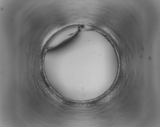 X0000064731069200603131247