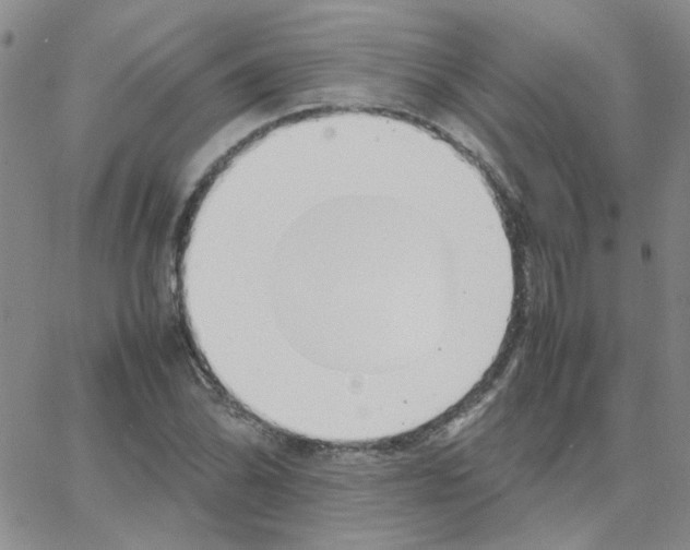 X0000064731070200603131247