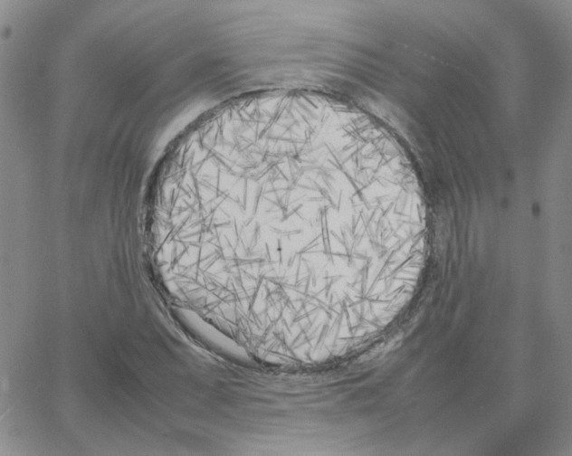 X0000064731071200603131247