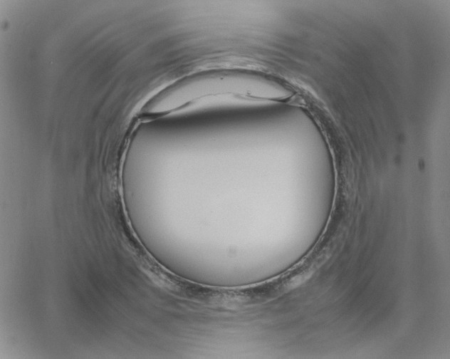 X0000064731073200603131247