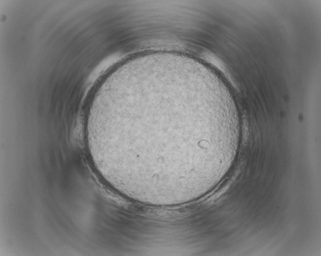 X0000064731074200603131247