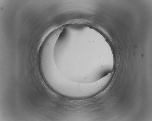 X0000064731075200603131247