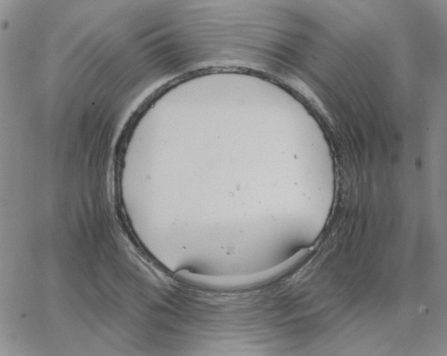 X0000064731076200603131247