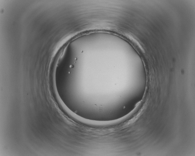 X0000064731077200603131247