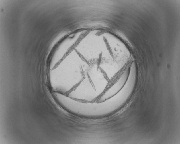 X0000064731079200603131247