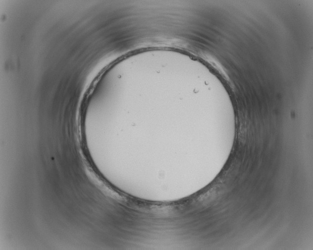 X0000064731080200603131247