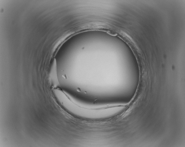 X0000064731081200603131247