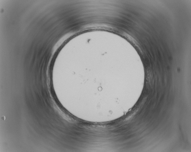 X0000064731082200603131247