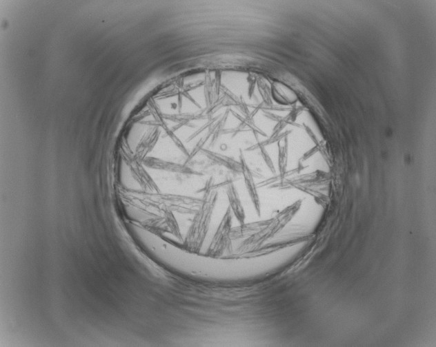 X0000064731083200603131247