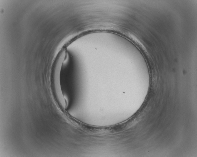 X0000064731085200603131247