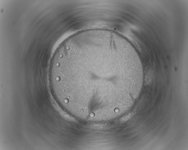 X0000064731086200603131247