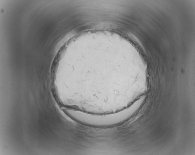 X0000064731087200603131247