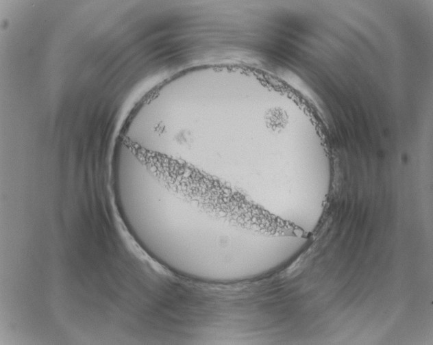 X0000064731088200603131247