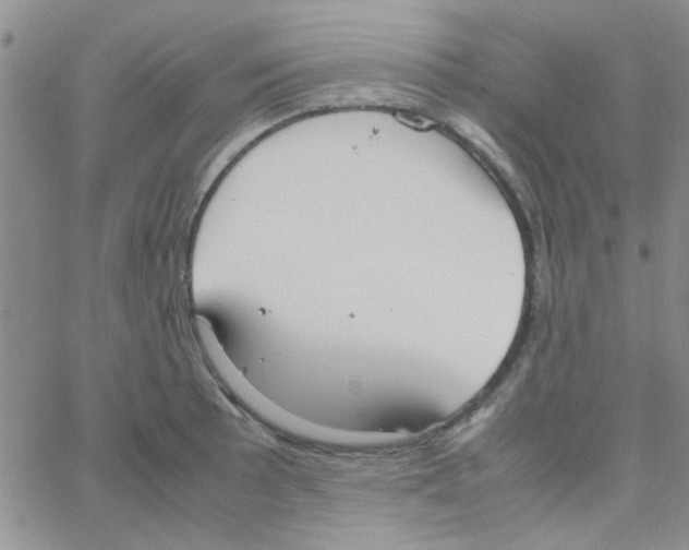 X0000064731089200603131247