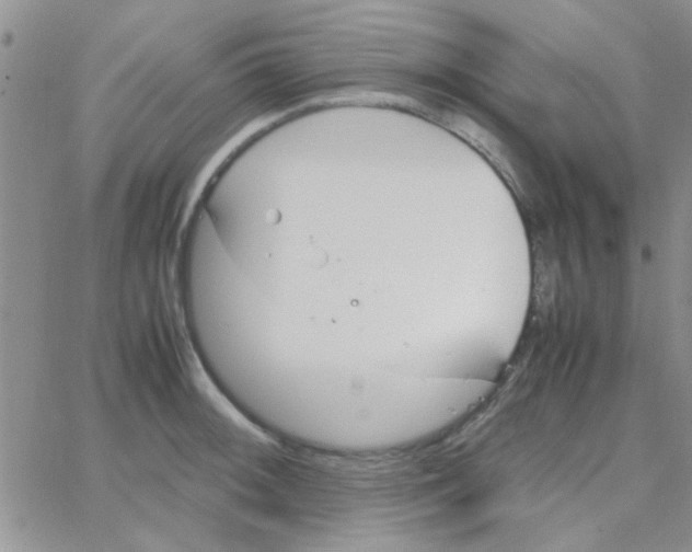 X0000064731092200603131247