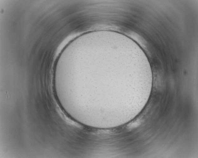 X0000064731094200603131247