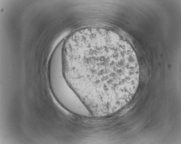 X0000064731095200603131247