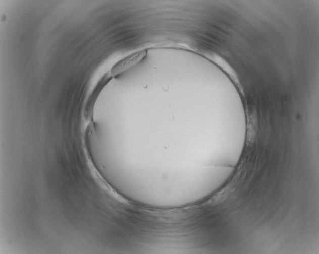 X0000064731096200603131247