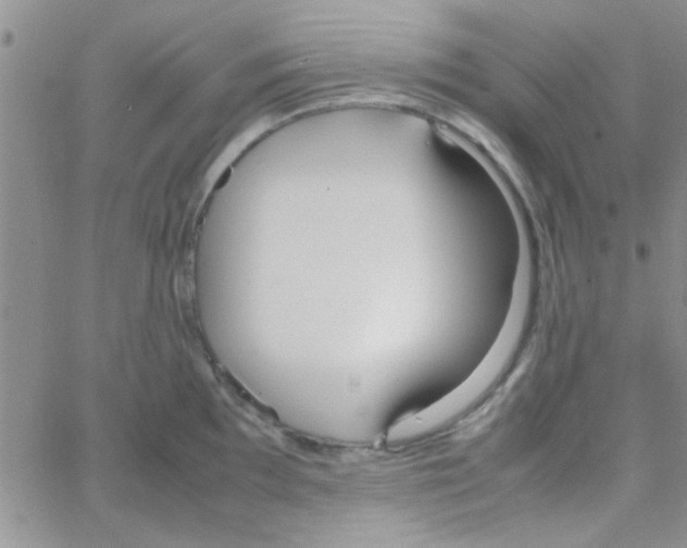 X0000064731097200603131247