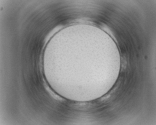 X0000064731098200603131247