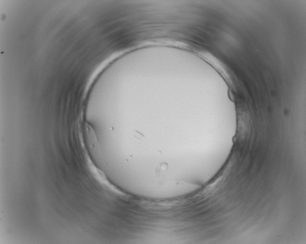 X0000064731100200603131247