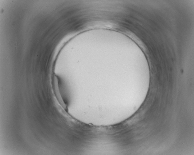 X0000064731104200603131247