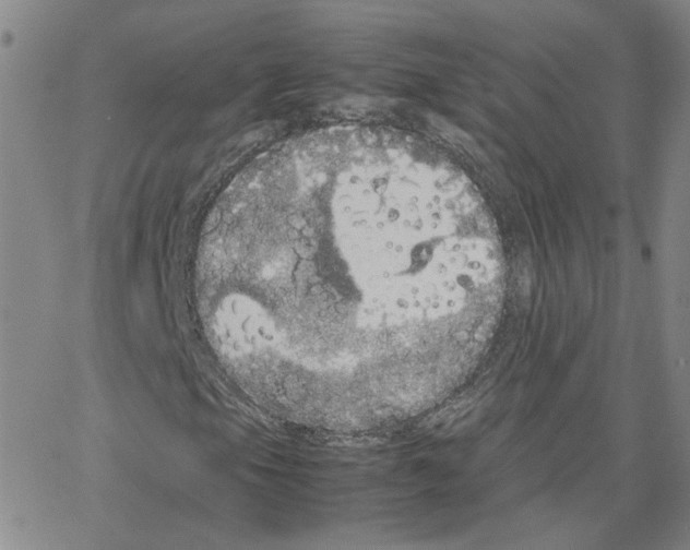 X0000064731105200603131246