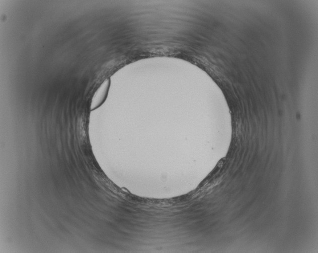 X0000064731106200603131246