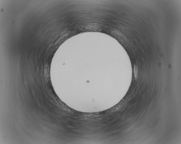 X0000064731107200603131246