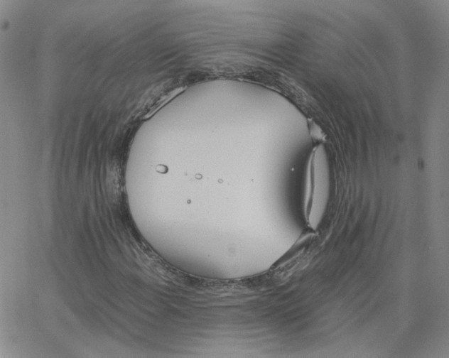 X0000064731108200603131246